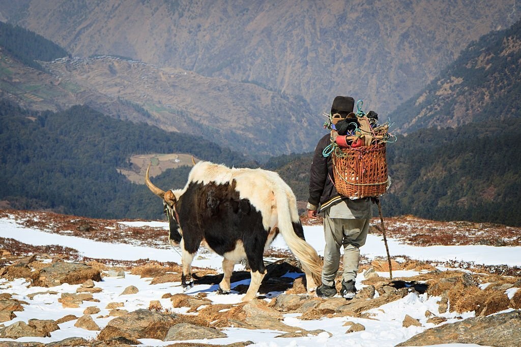 Villager during Langtang Trekking